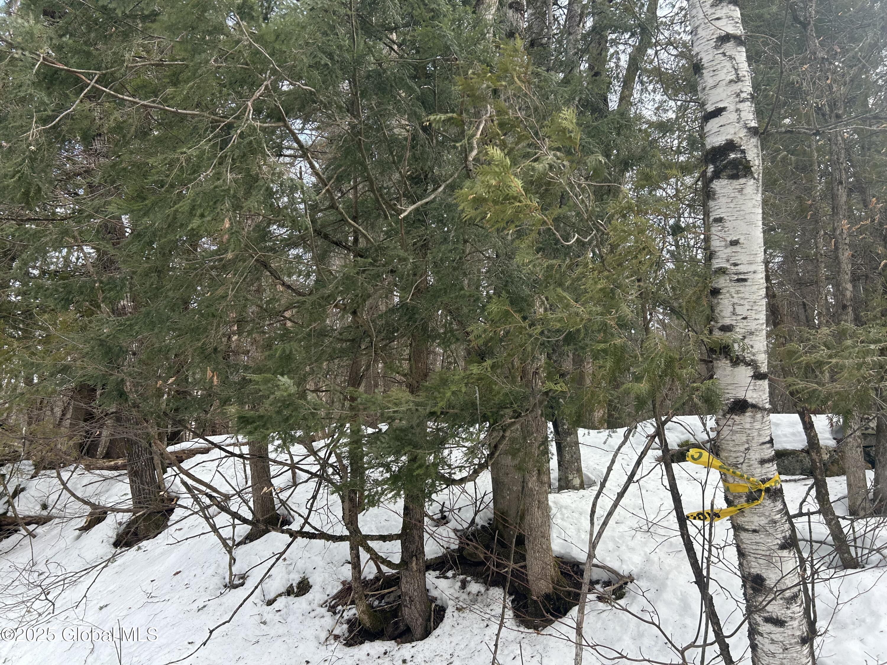 L22.120 Hog Back Road Essex NY 12928