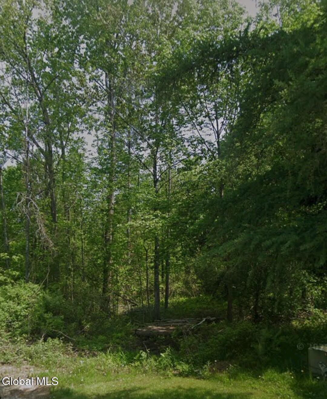 L 20.2 Pleasant View Drive Gloversville NY 12078