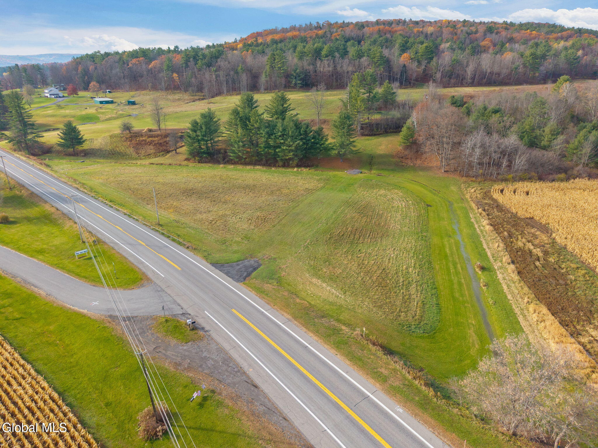 L10.1 State Route 30a Cental Bridge NY 12035