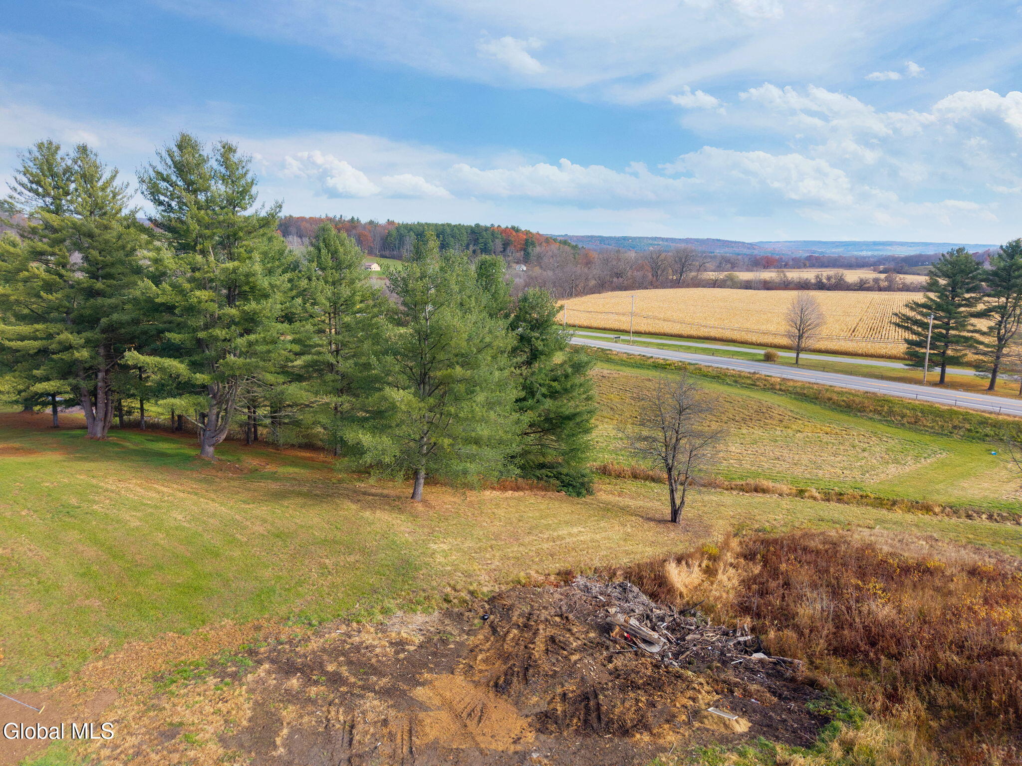 L10.1 State Route 30a Cental Bridge NY 12035