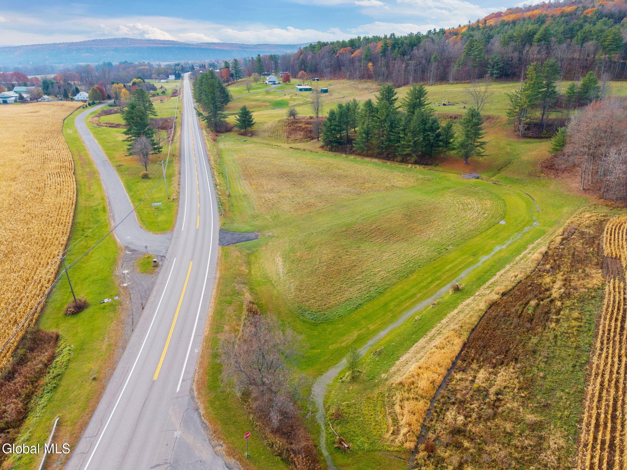L10.1 State Route 30a Cental Bridge NY 12035