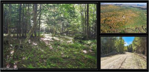 77 Carriage Knoll Road Chestertown NY 12817