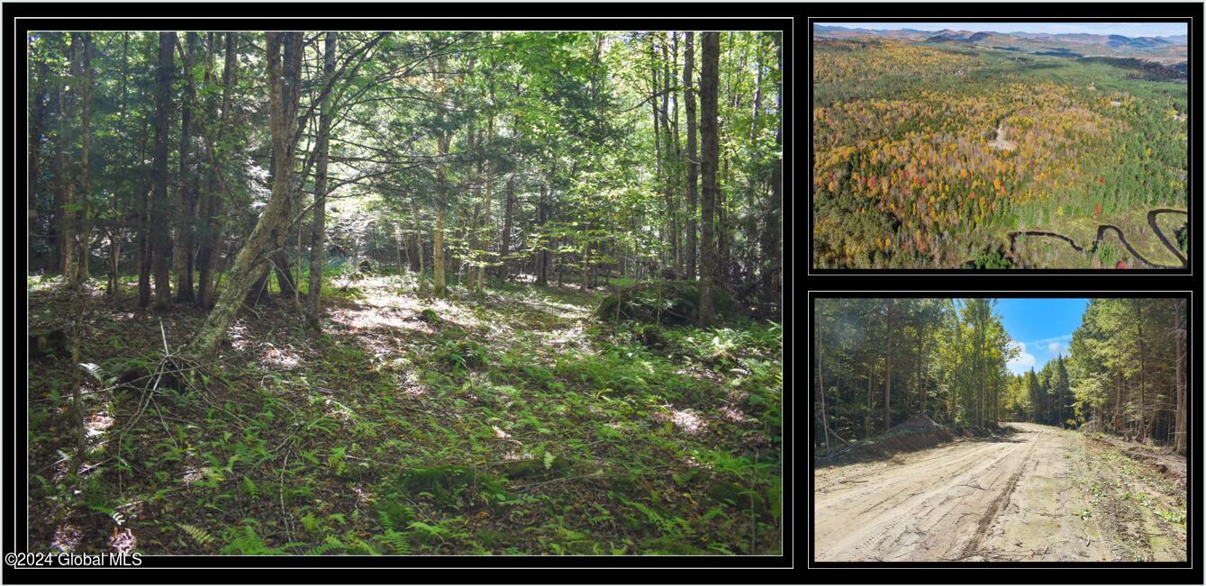 77 Carriage Knoll Road Chestertown NY 12817