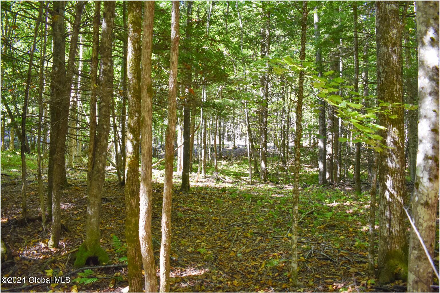 77 Carriage Knoll Road Chestertown NY 12817