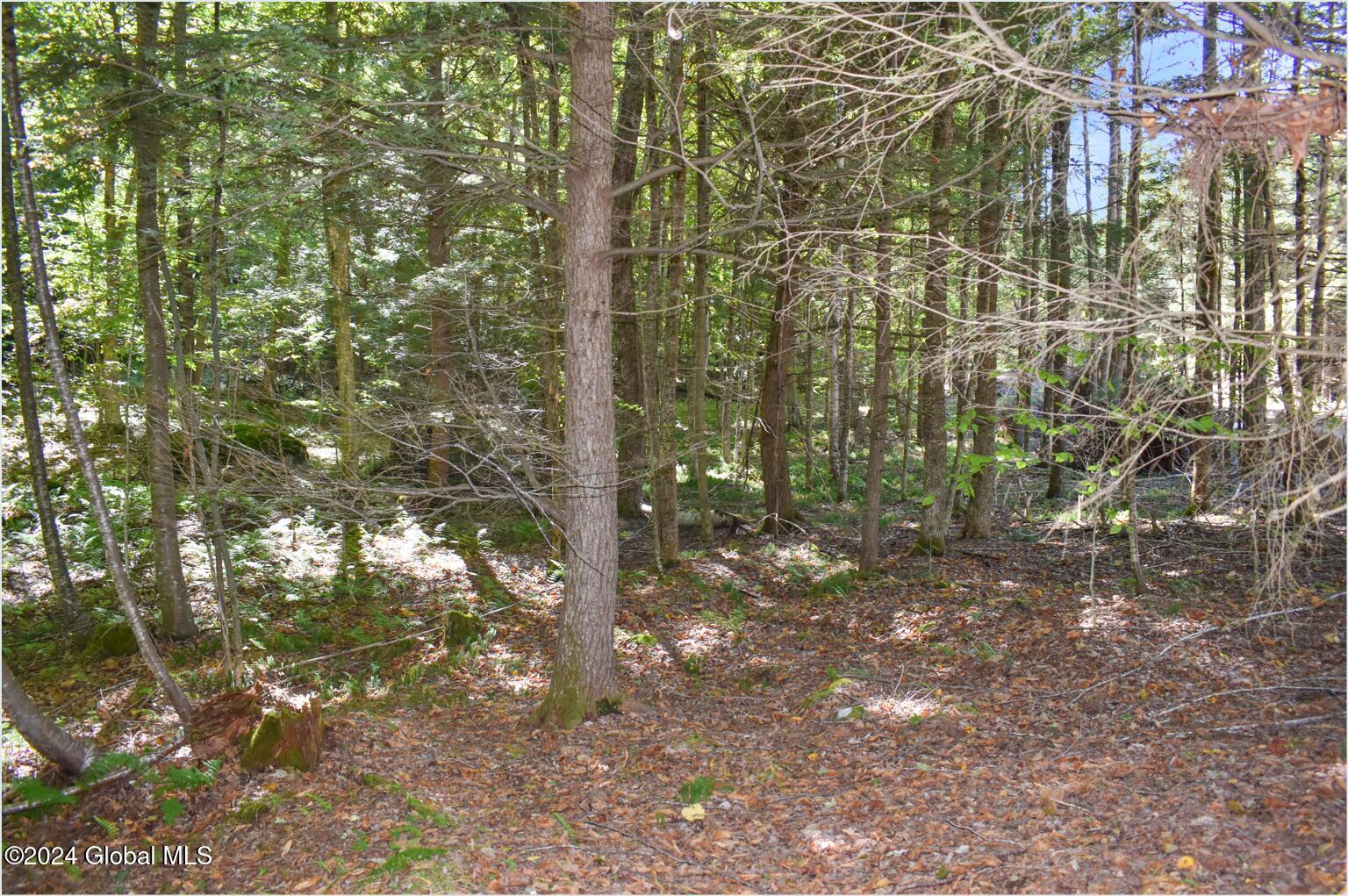 77 Carriage Knoll Road Chestertown NY 12817