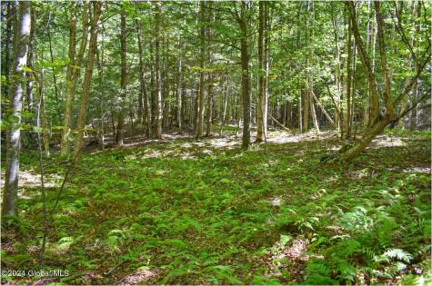 77 Carriage Knoll Road Chestertown NY 12817