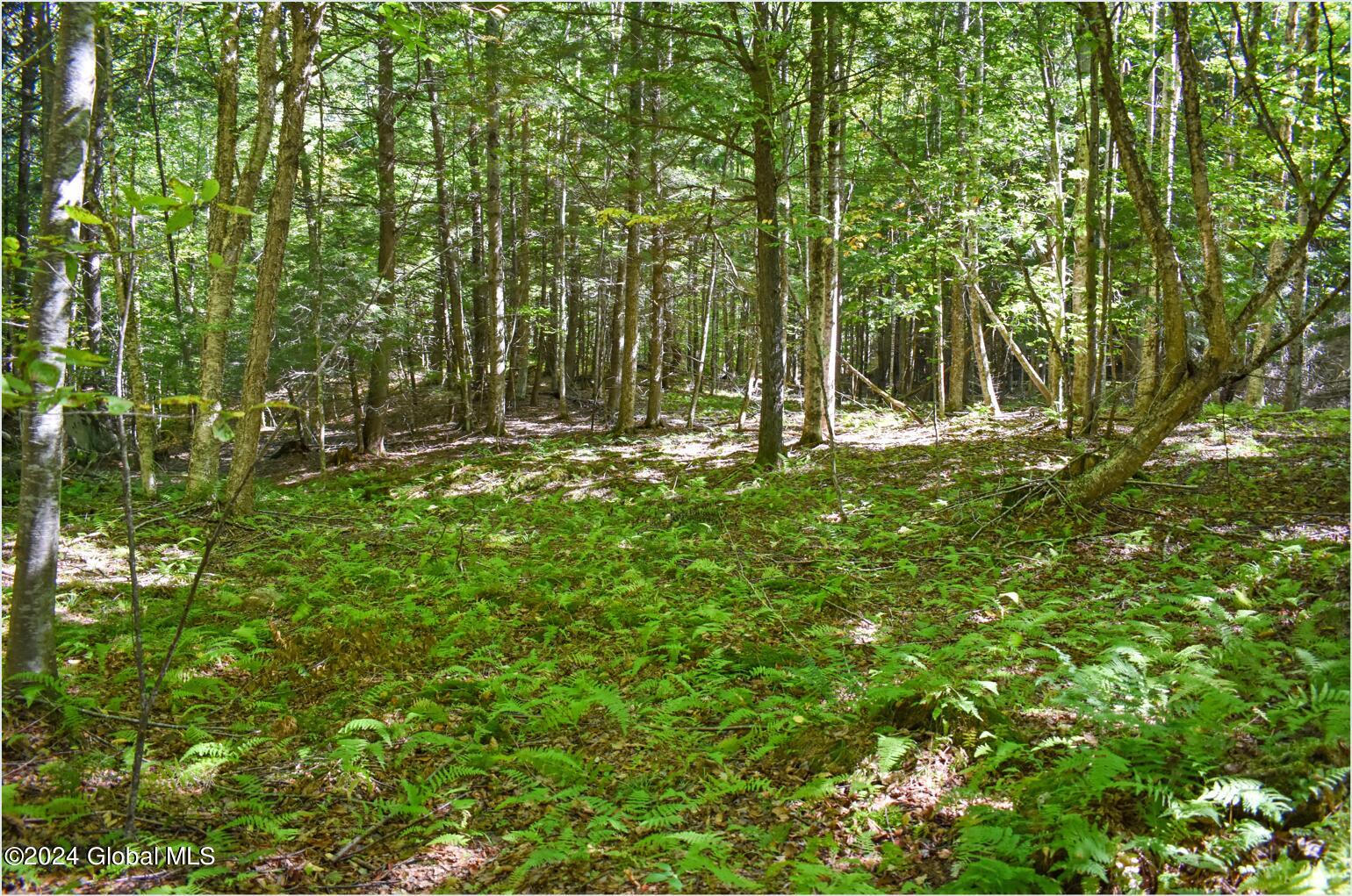 77 Carriage Knoll Road Chestertown NY 12817
