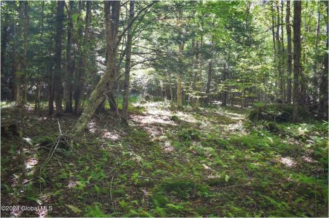 77 Carriage Knoll Road Chestertown NY 12817