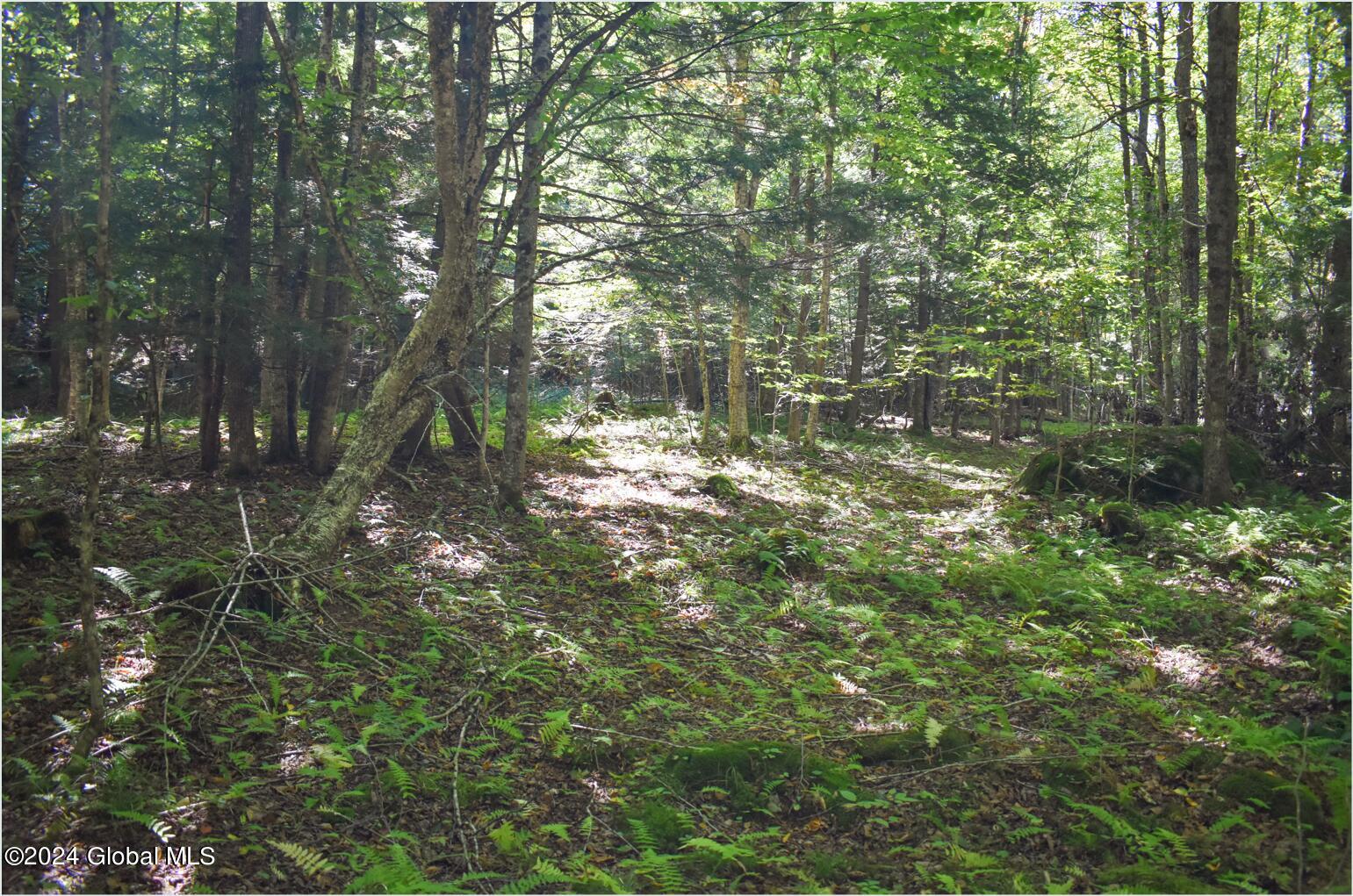 77 Carriage Knoll Road Chestertown NY 12817
