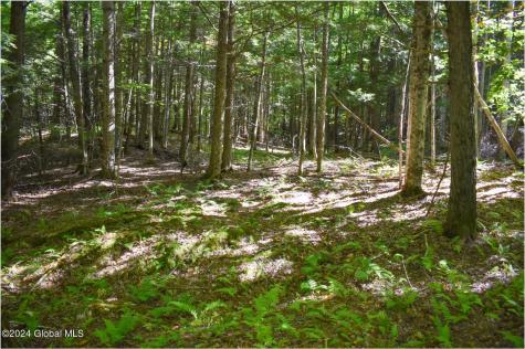 77 Carriage Knoll Road Chestertown NY 12817