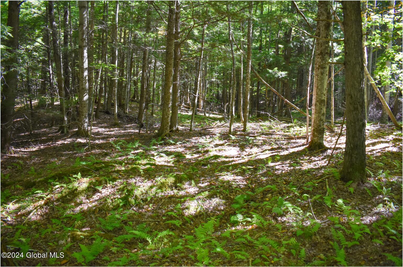 77 Carriage Knoll Road Chestertown NY 12817