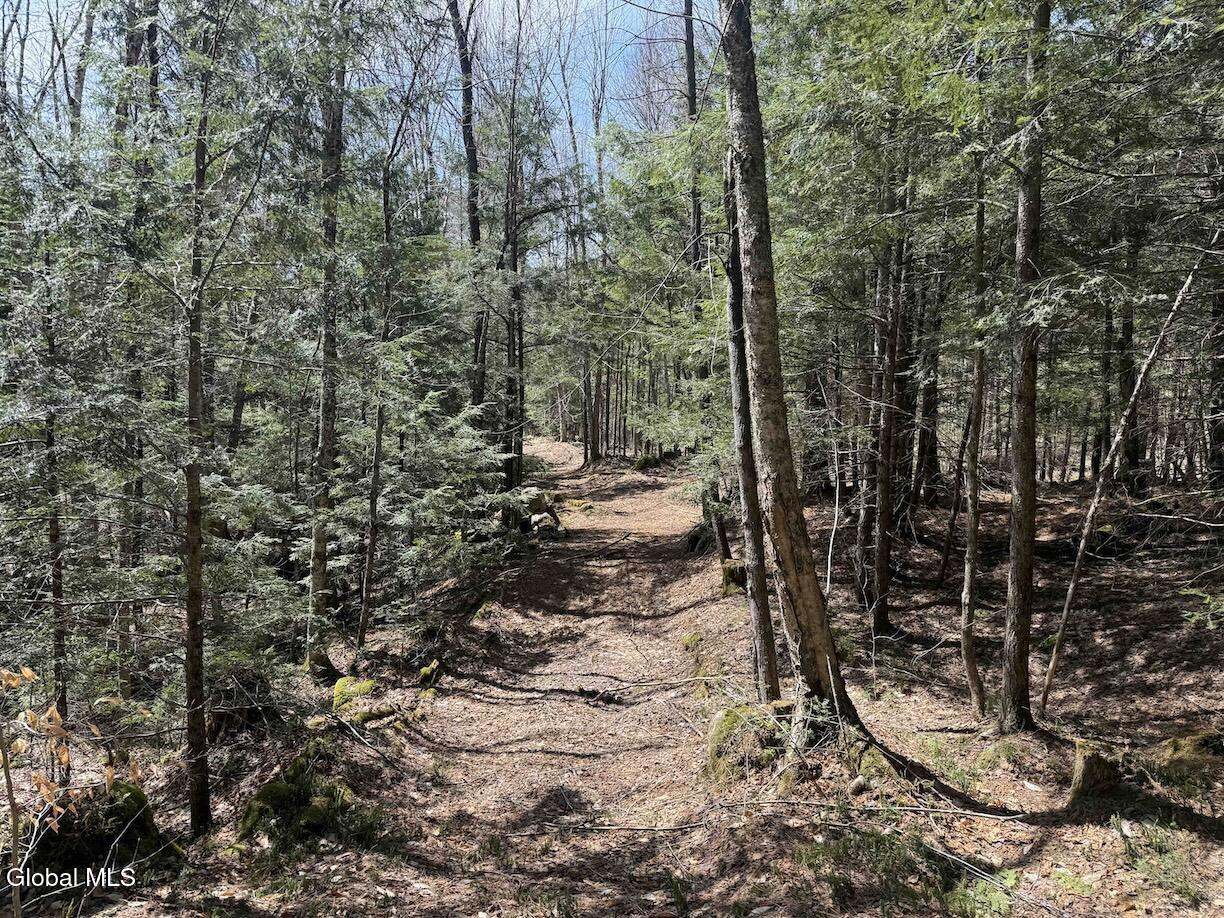 235 Barlow Road Bleecker NY 12078