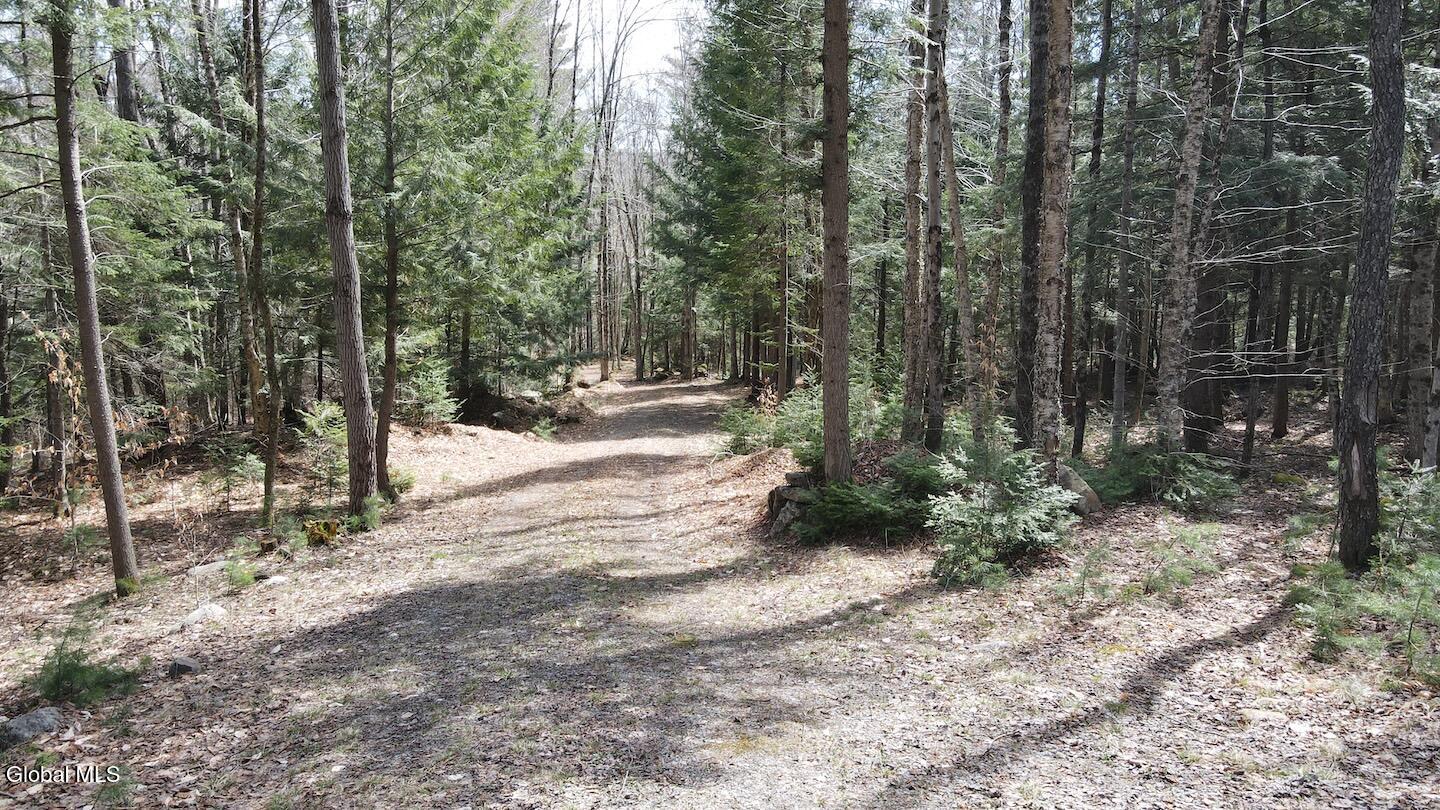 235 Barlow Road Bleecker NY 12078