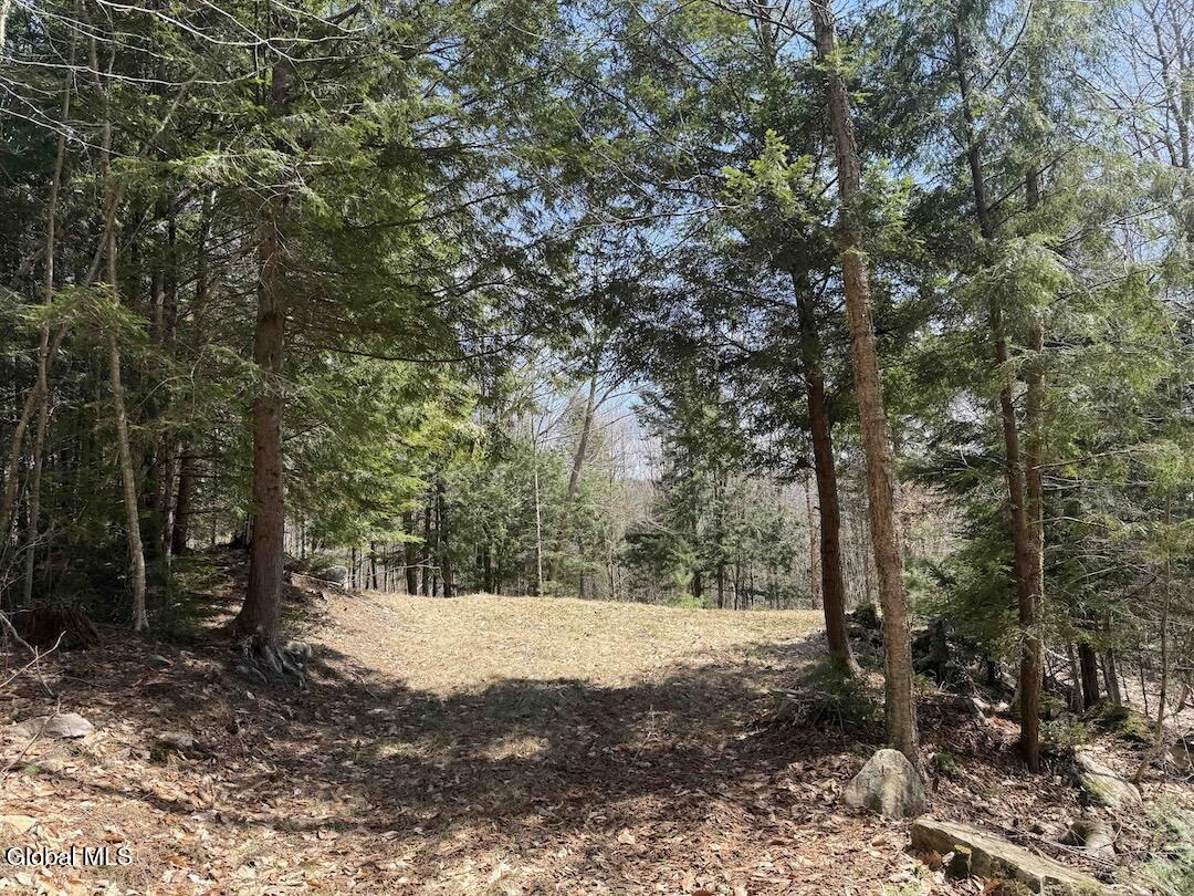 235 Barlow Road Bleecker NY 12078