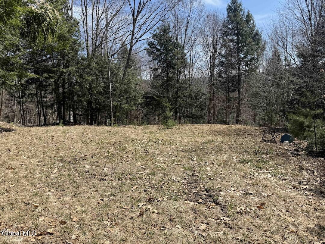 235 Barlow Road Bleecker NY 12078
