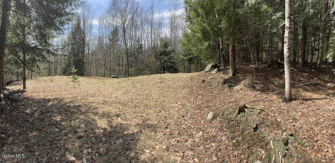 235 Barlow Road Bleecker NY 12078