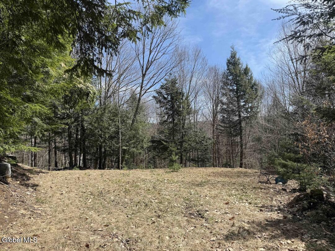 235 Barlow Road Bleecker NY 12078