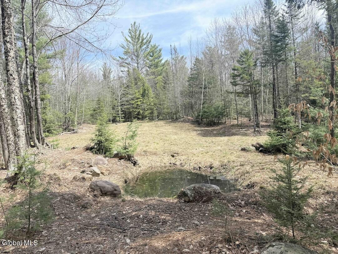 235 Barlow Road Bleecker NY 12078