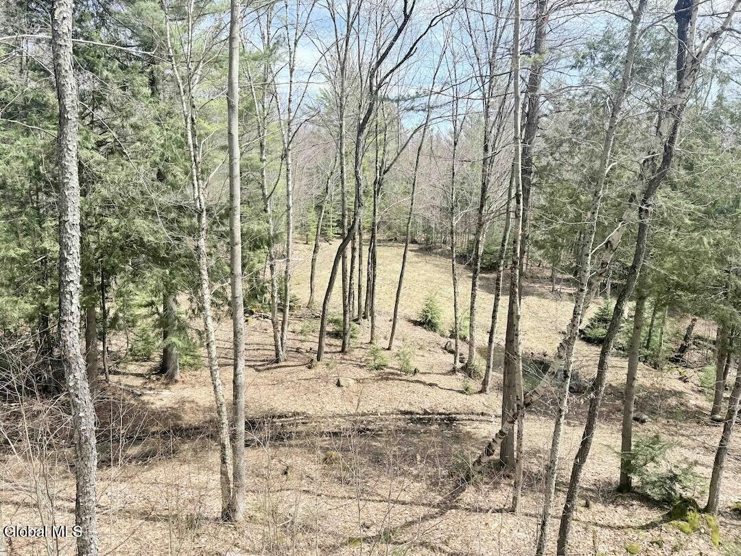 235 Barlow Road Bleecker NY 12078