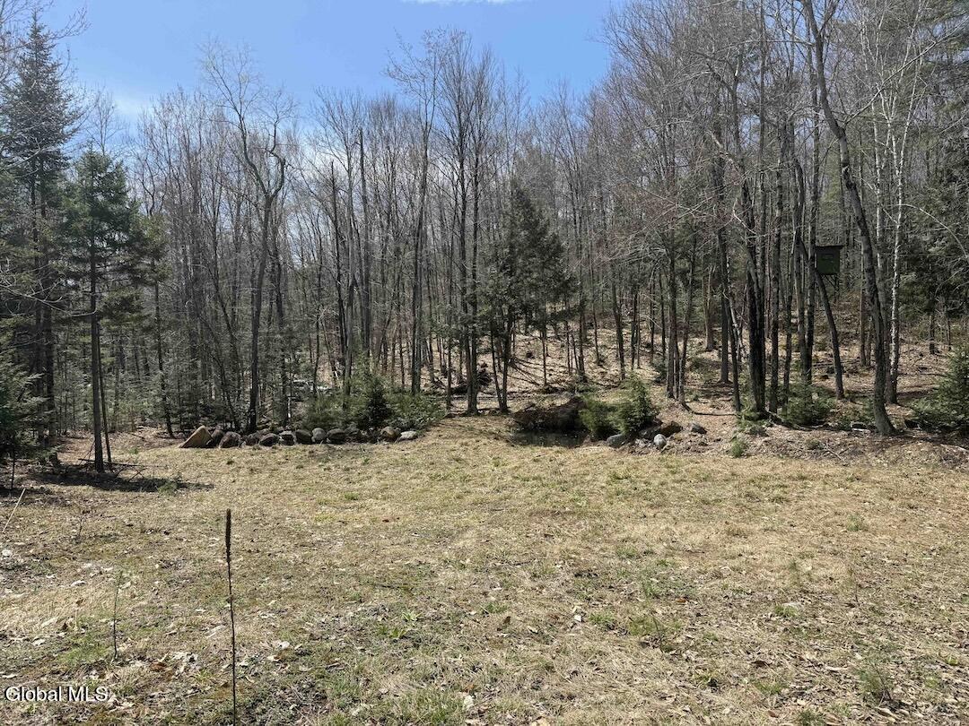 235 Barlow Road Bleecker NY 12078
