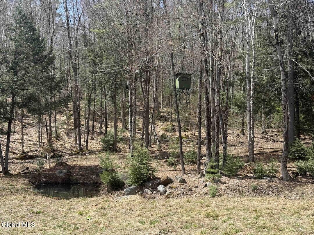 235 Barlow Road Bleecker NY 12078