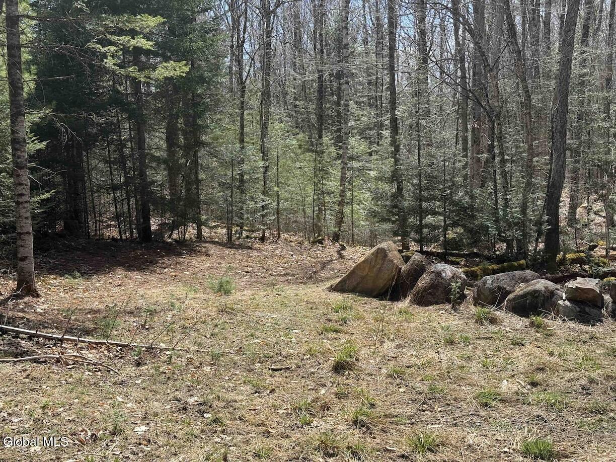 235 Barlow Road Bleecker NY 12078