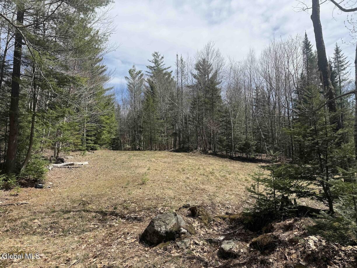 235 Barlow Road Bleecker NY 12078