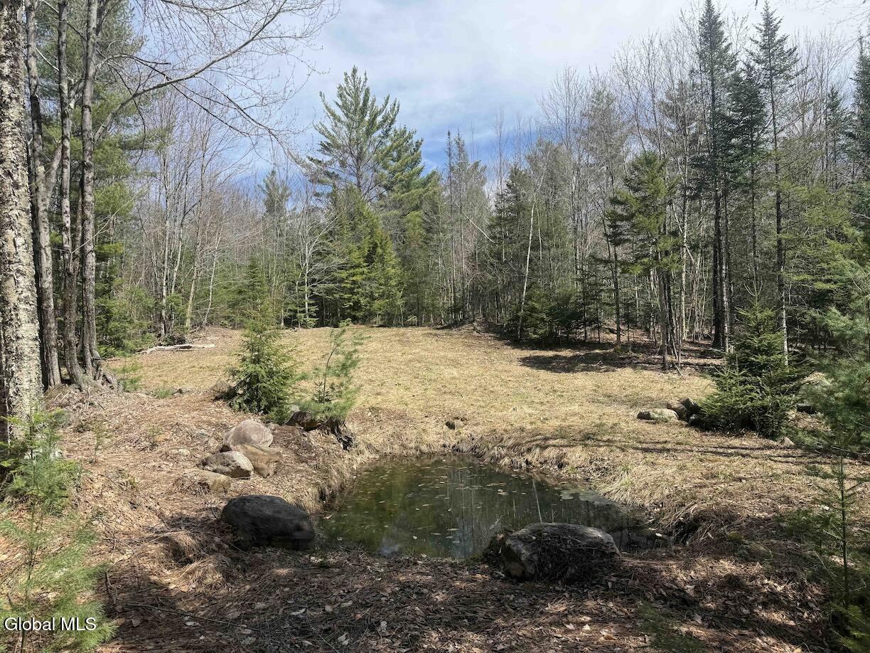 235 Barlow Road Bleecker NY 12078