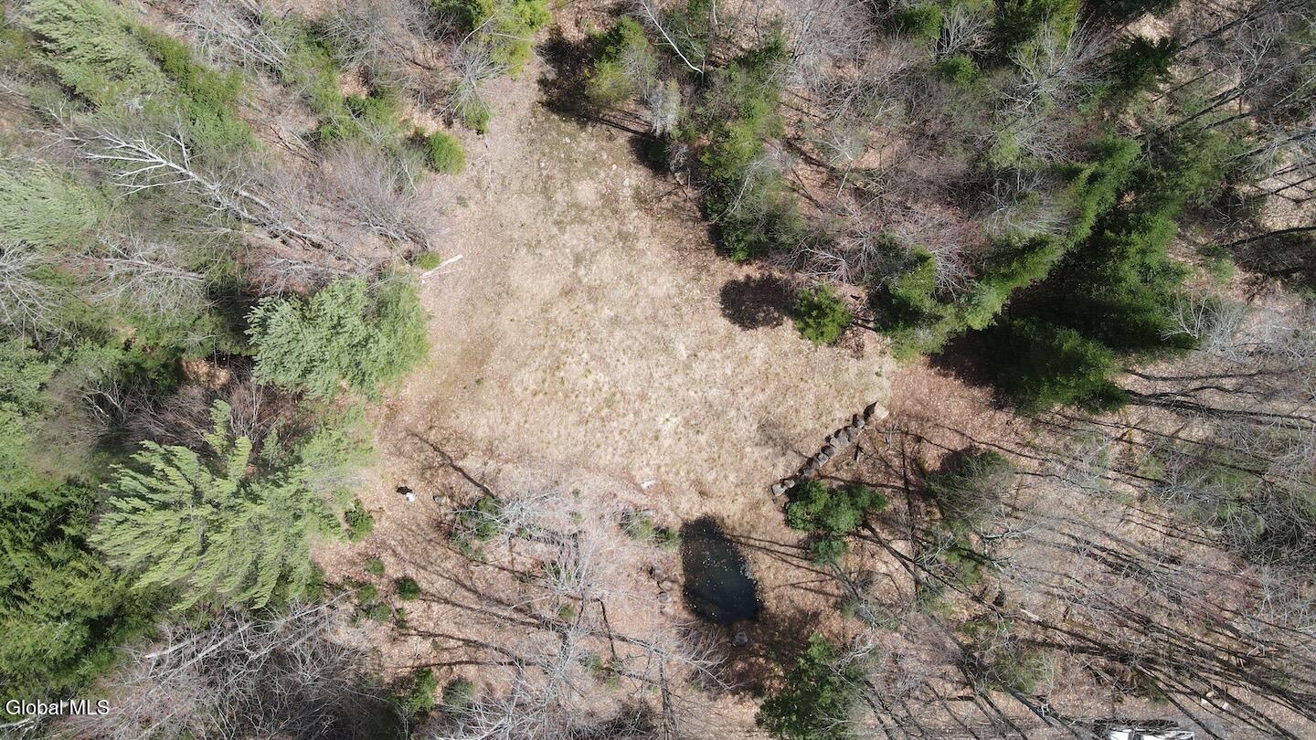 235 Barlow Road Bleecker NY 12078