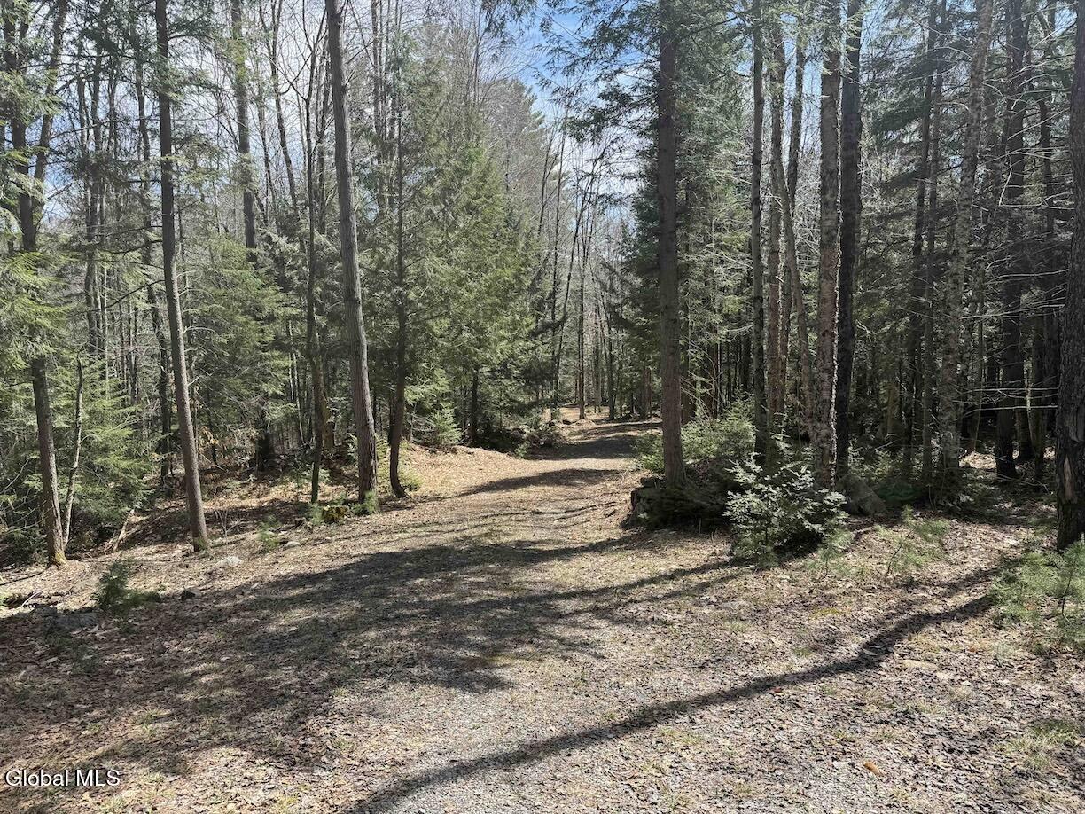 235 Barlow Road Bleecker NY 12078