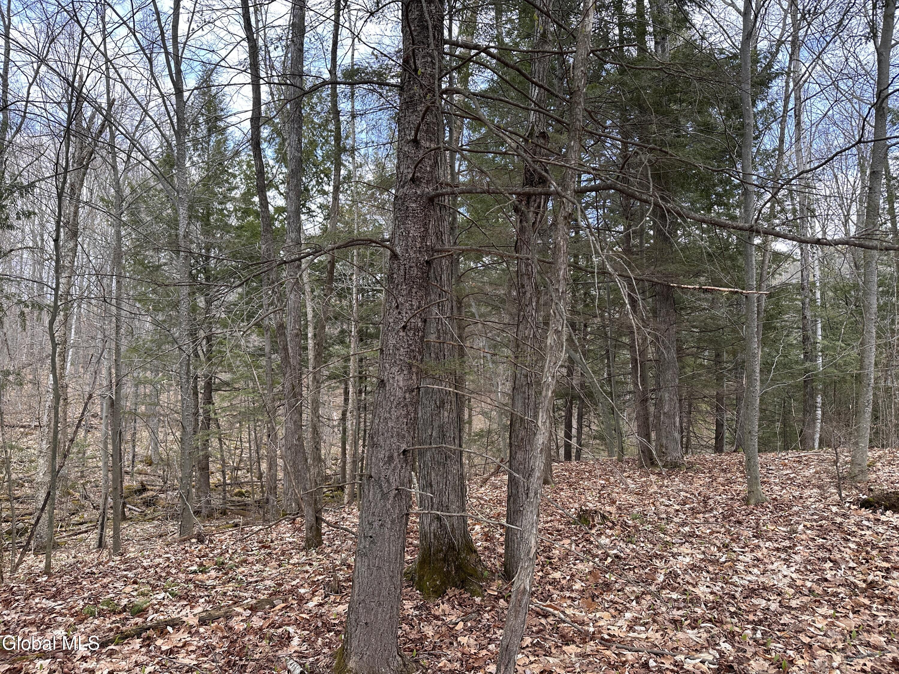 182 Furnace Road Moriah NY 12960