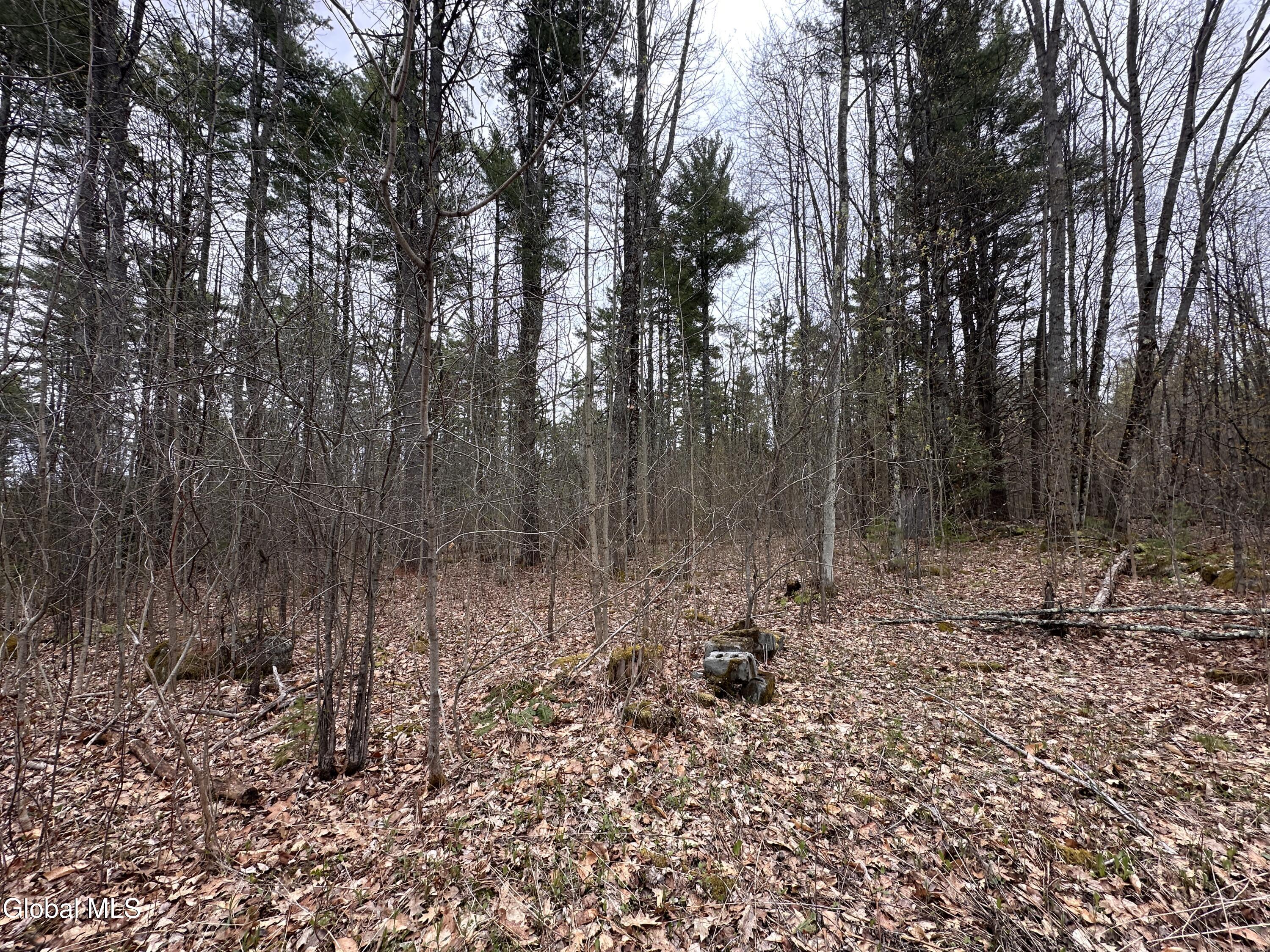 182 Furnace Road Moriah NY 12960