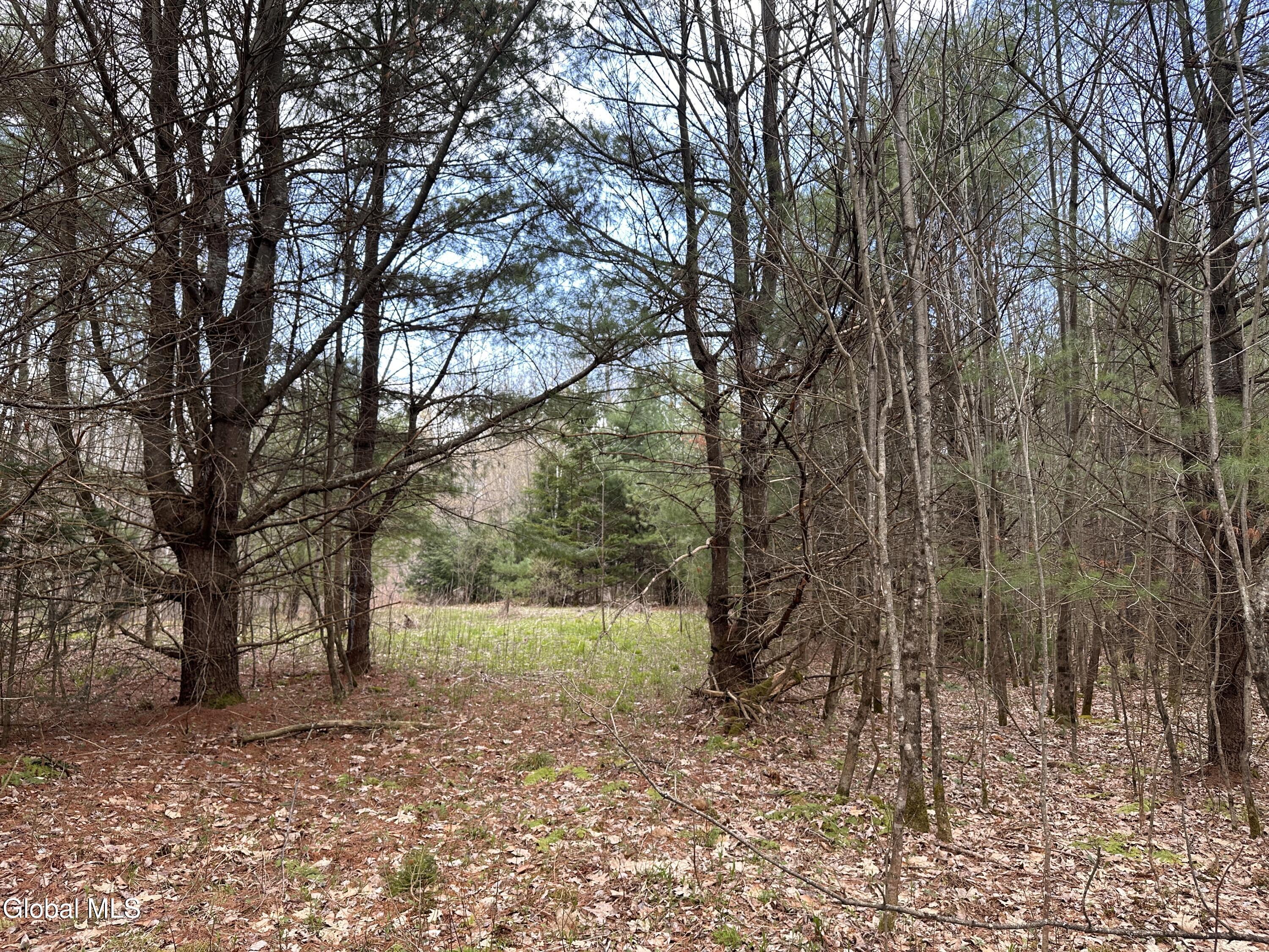 182 Furnace Road Moriah NY 12960
