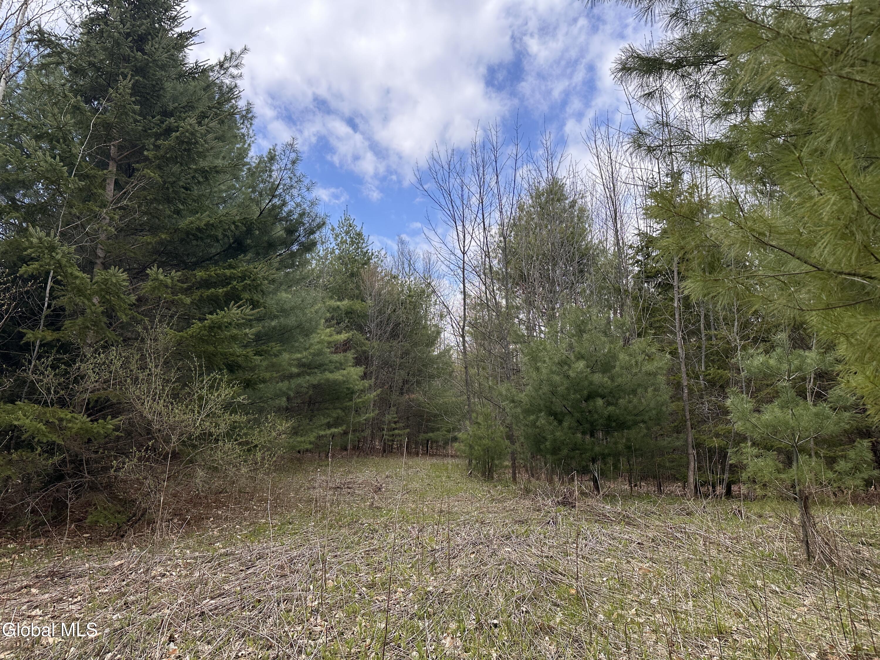 182 Furnace Road Moriah NY 12960