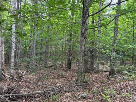 L10 State Route 8 Johnsburg NY 12843