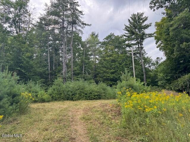 L10 State Route 8 Johnsburg NY 12843
