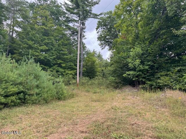 L10 State Route 8 Johnsburg NY 12843