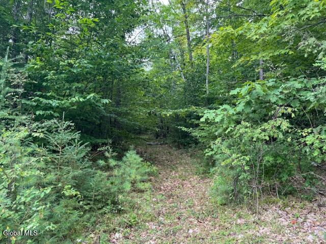 L10 State Route 8 Johnsburg NY 12843