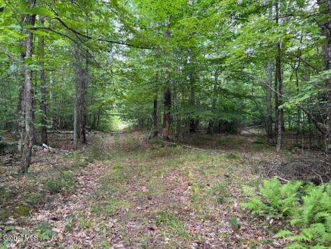 L10 State Route 8 Johnsburg NY 12843