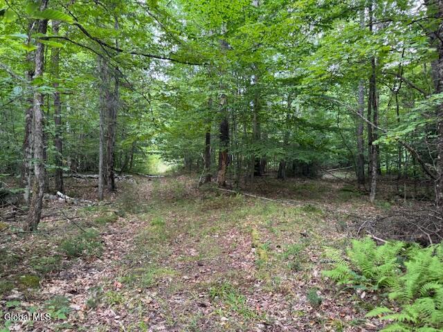 L10 State Route 8 Johnsburg NY 12843
