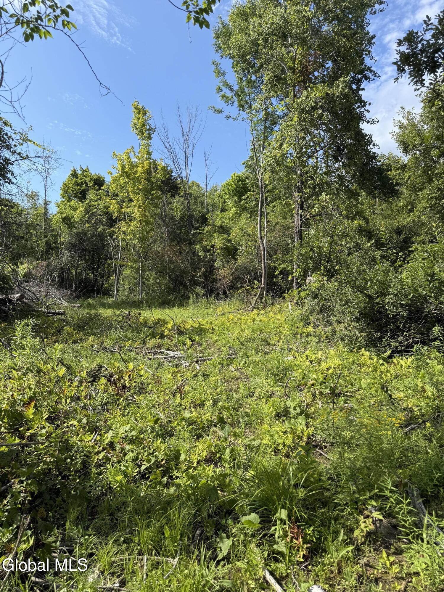 21 Wilson Street Gloversville NY 12078