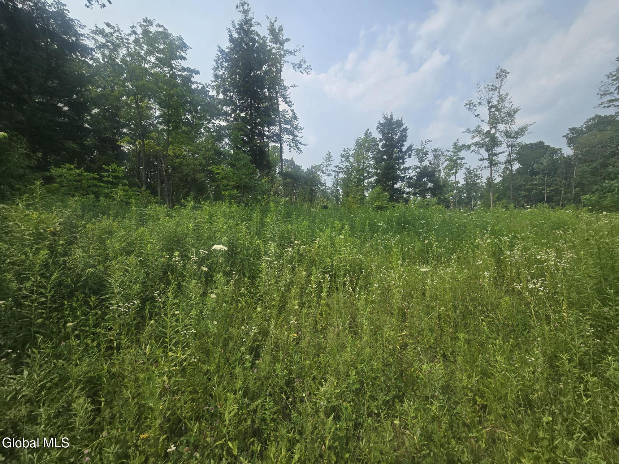 L5 Hickory Hill Road Fort Plain NY 13339