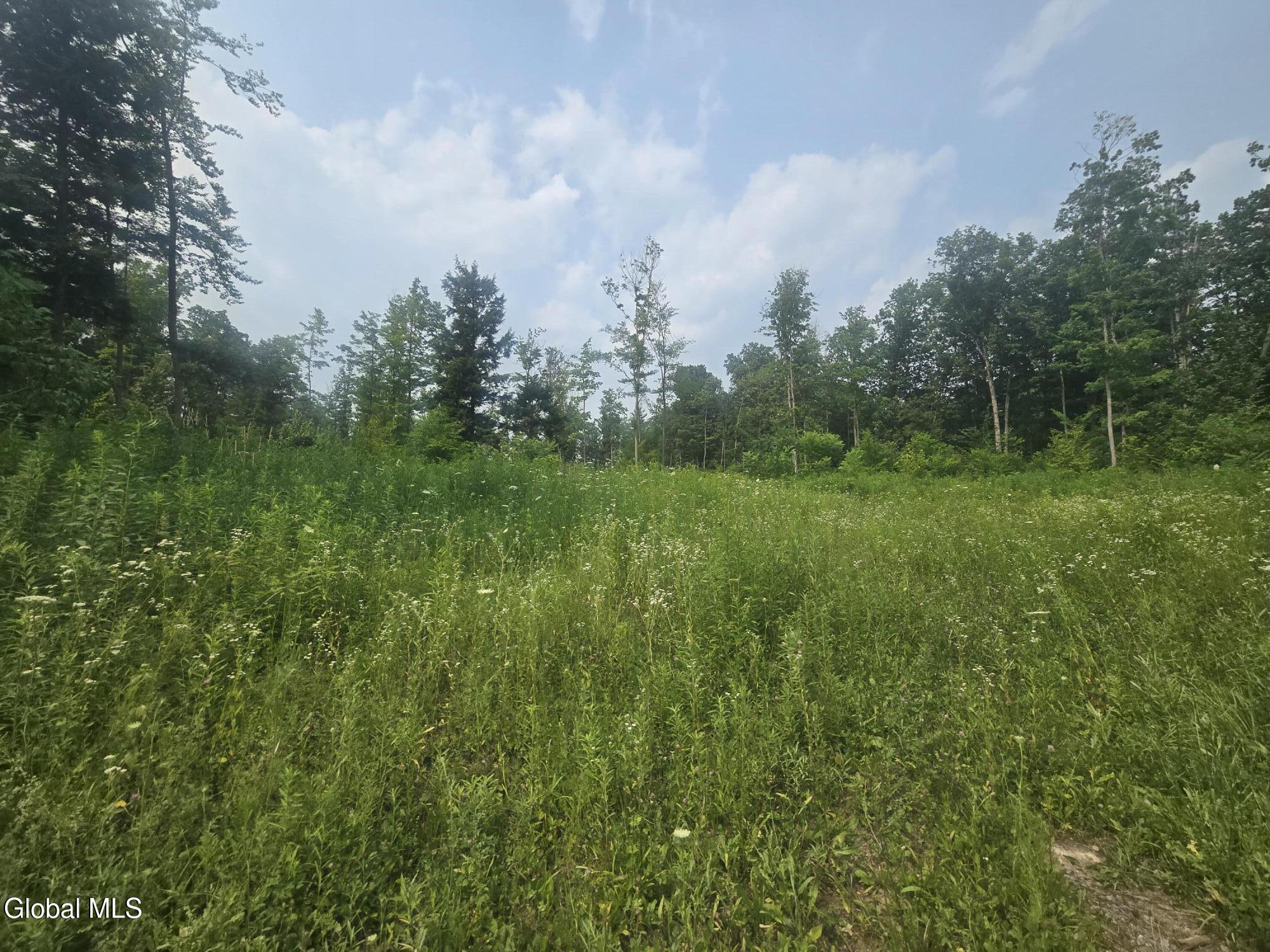 L5 Hickory Hill Road Fort Plain NY 13339