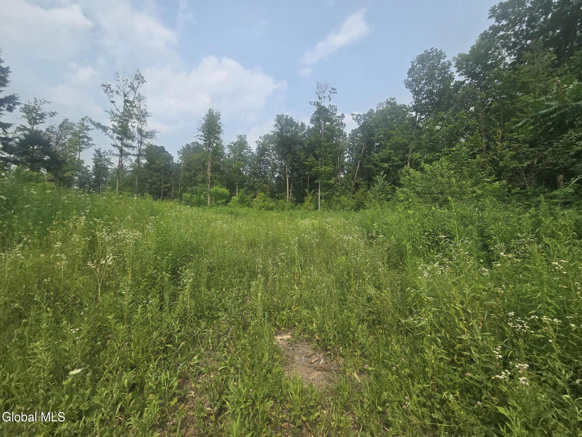 L5 Hickory Hill Road Fort Plain NY 13339