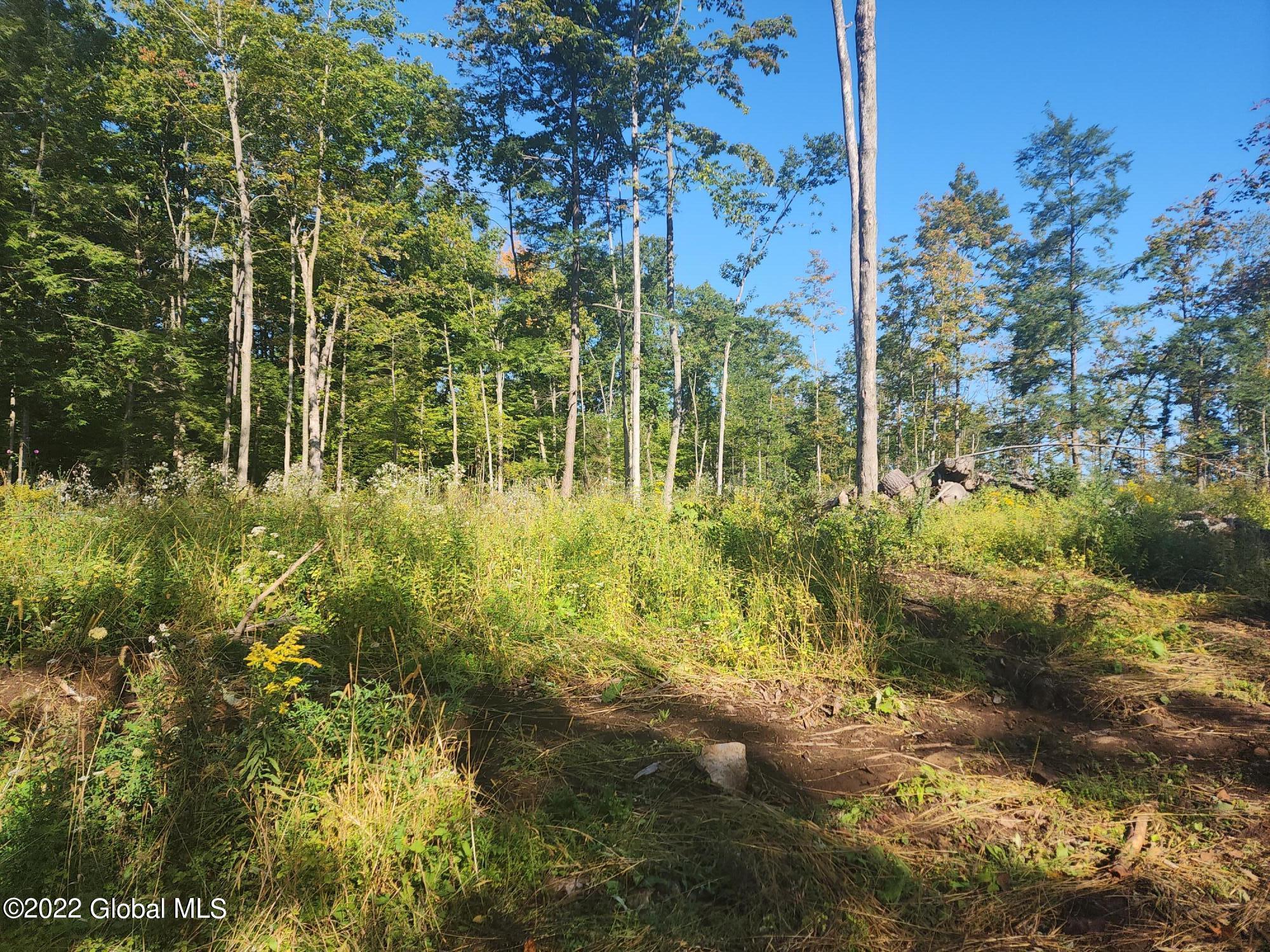 L5 Hickory Hill Road Fort Plain NY 13339