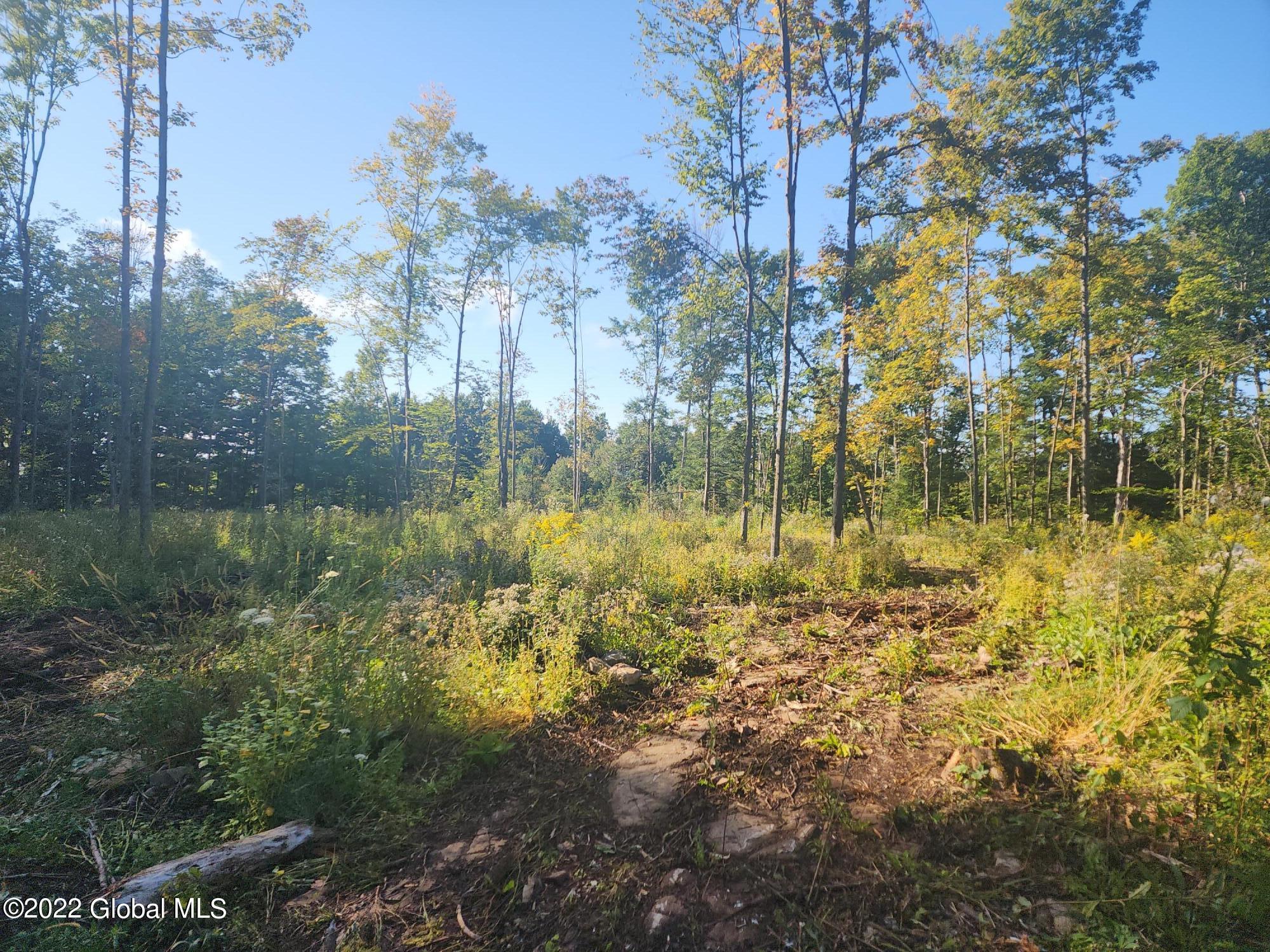 L5 Hickory Hill Road Fort Plain NY 13339
