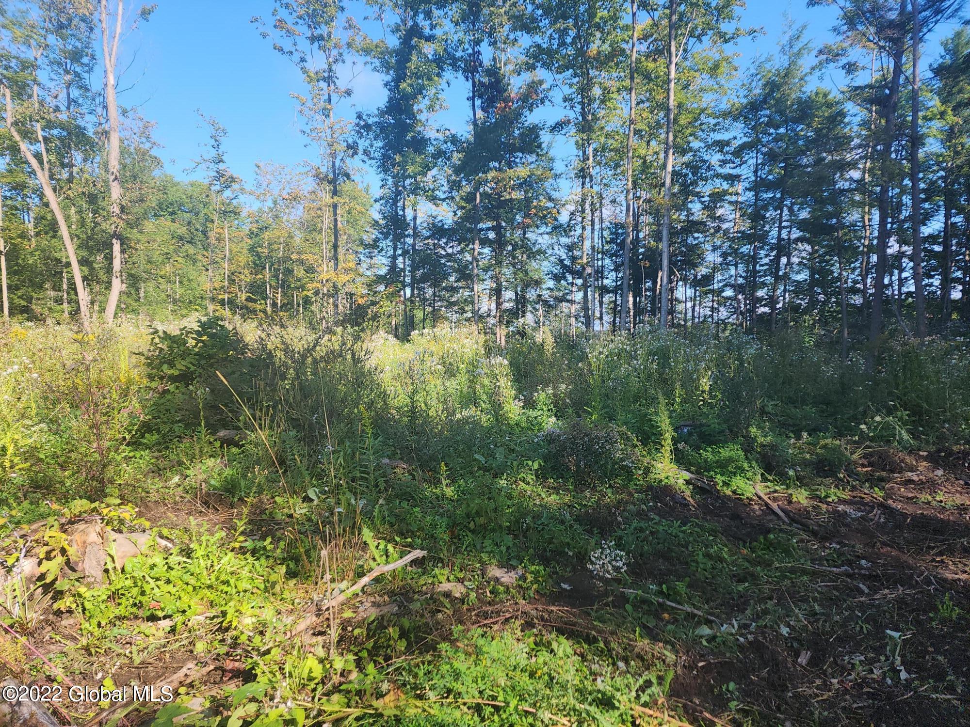 L5 Hickory Hill Road Fort Plain NY 13339