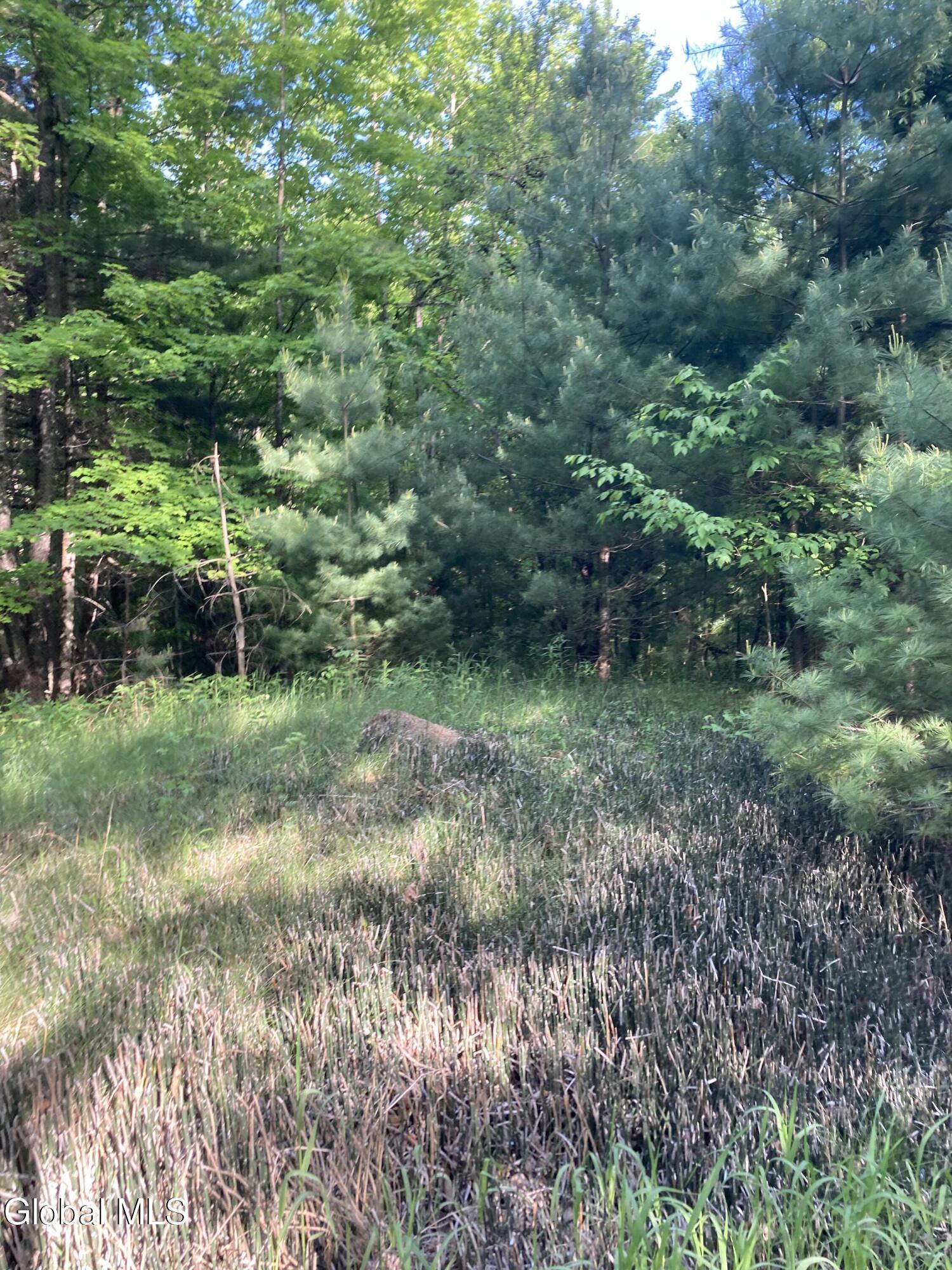 L3 Breed Hill Road Crown Point NY 12928