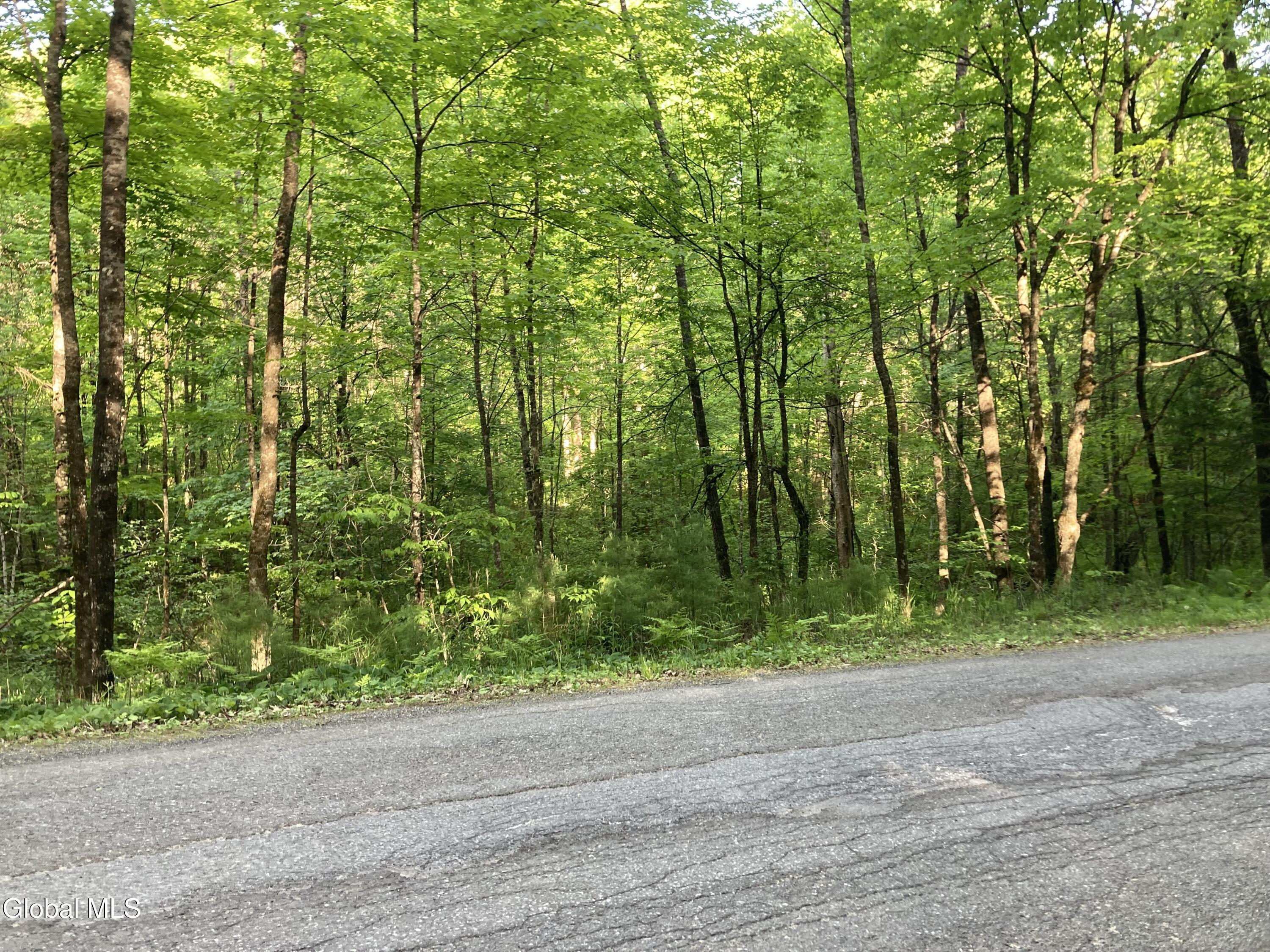 L3 Breed Hill Road Crown Point NY 12928