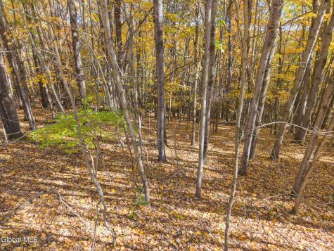 294 Posson Hill Road Middleburgh NY 12122